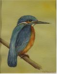 Common Kingfisher by Mary Aleander Portillo