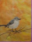 Northern Mocking Bird by Mary Alexander Portillo